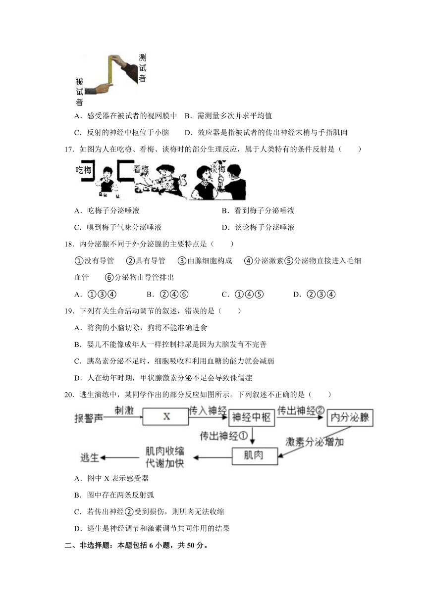 2020-2021学年人教版生物七年级下册第4单元 第6章 人体生命活动的调节  测试卷（word版含答案）