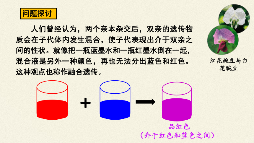 2020-2021学年高一下学期生物人教版必修二1.1孟德尔的豌豆杂交实验（一）课件