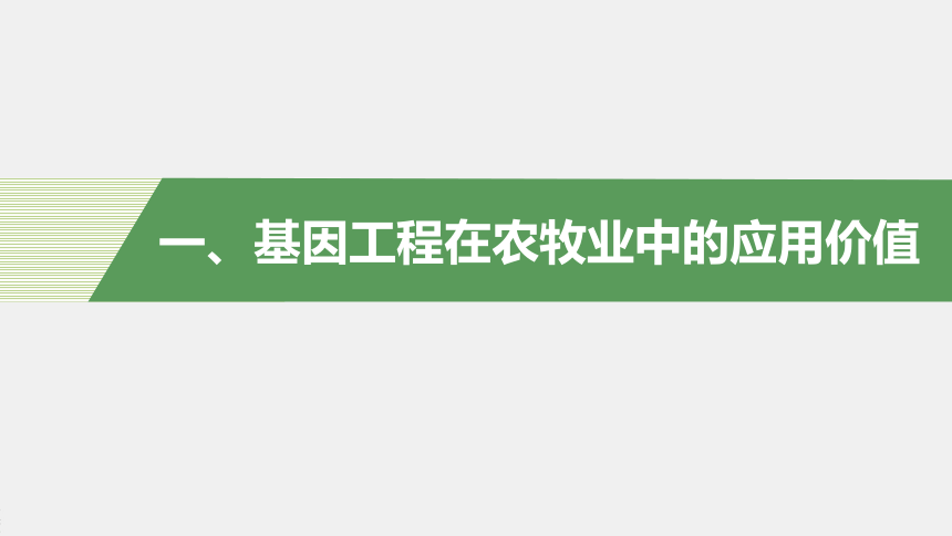 高中生物苏教版（2019）选择性必修3第三章 第二节　基因工程的应用价值（71张PPT）