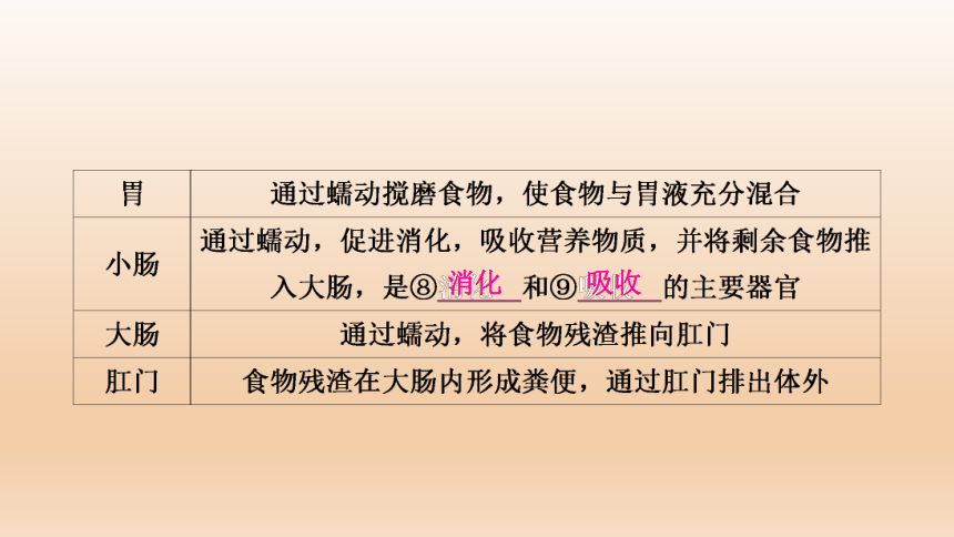 2023年中考生物复习专题★★　人的食物来源于环境.ppt(共41张PPT)