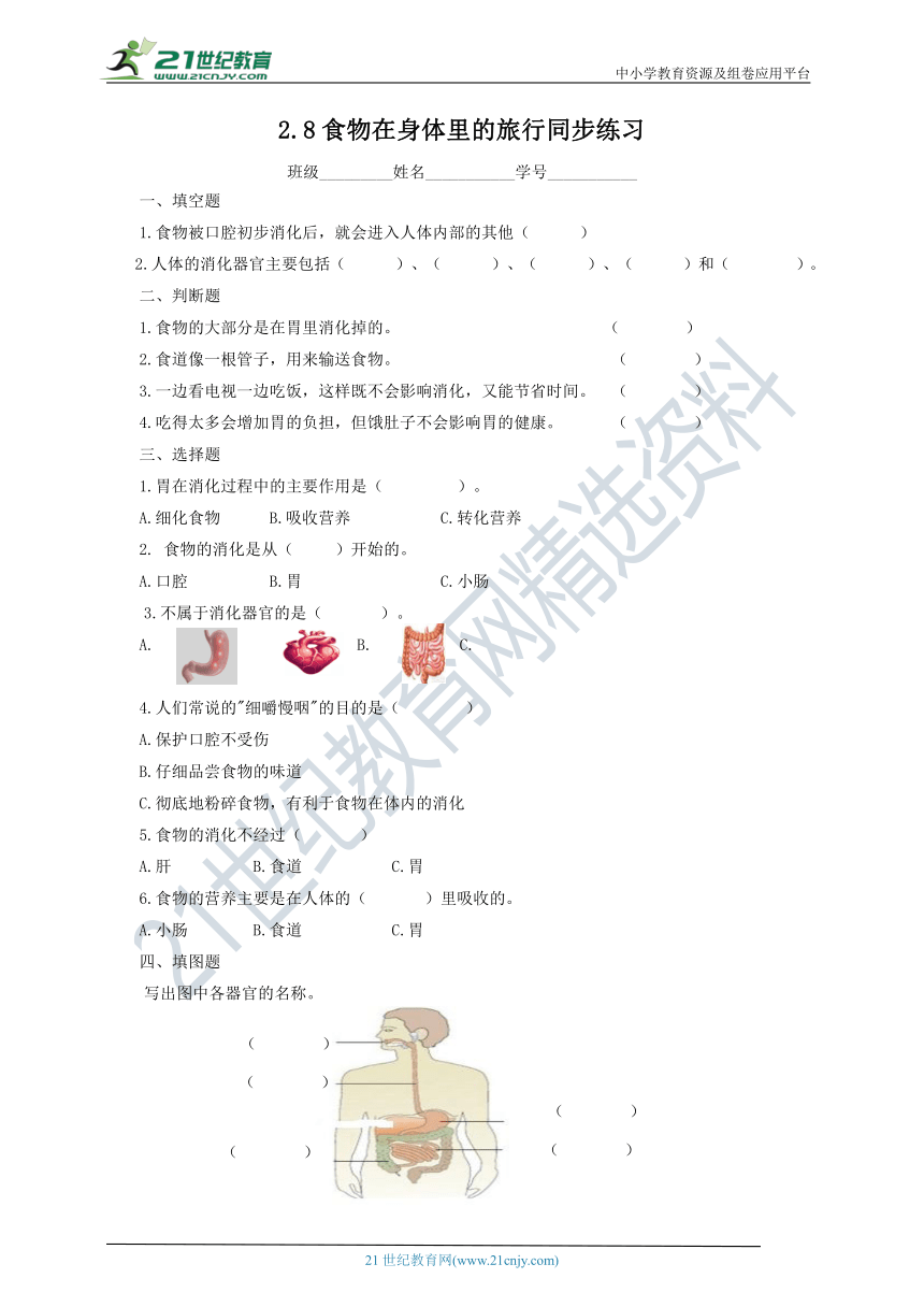 2.8食物在身体里的旅行同步练习（含答案）