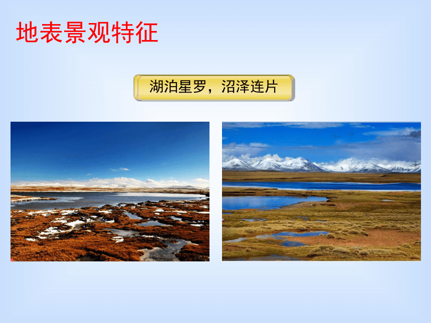 9.1、青藏地区  自然特征与农业（终定）(26张PPT)