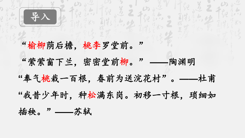 2021-2022学年统编版高中语文选择性必修下册11《种树郭橐驼传》课件（40张PPT）