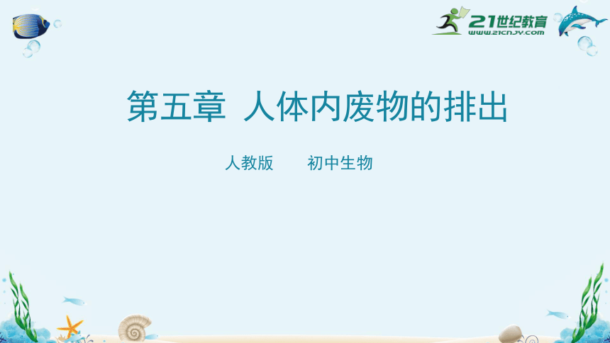 人教版七年级生物下册4.5人体内废物的排出（共35张）