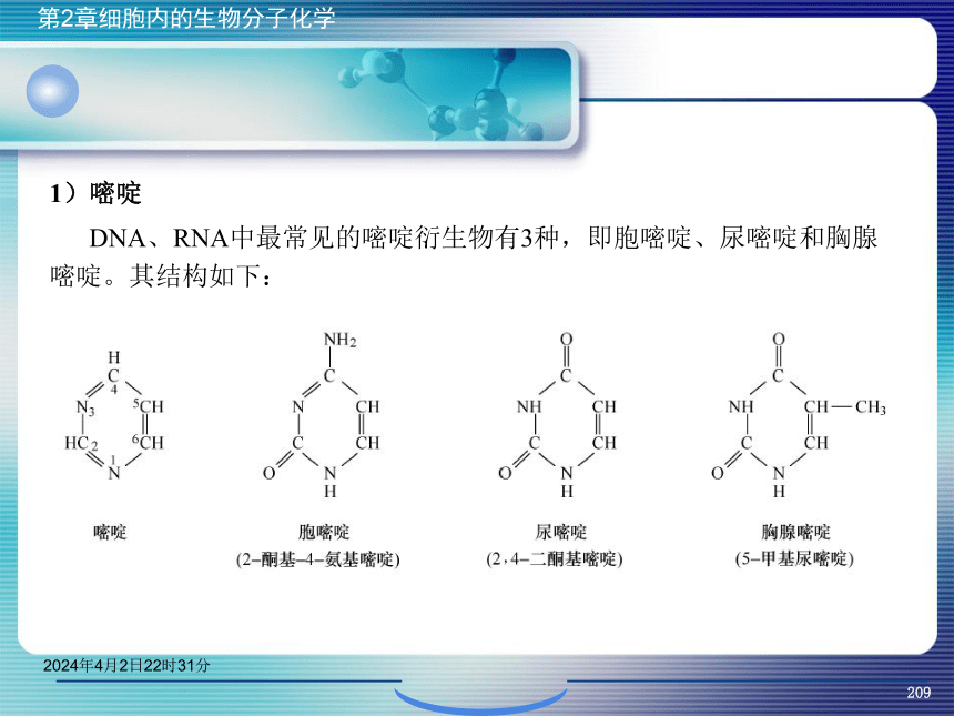 2.5核酸化学 课件(共47张PPT）- 《环境生物化学》同步教学（机工版·2020）