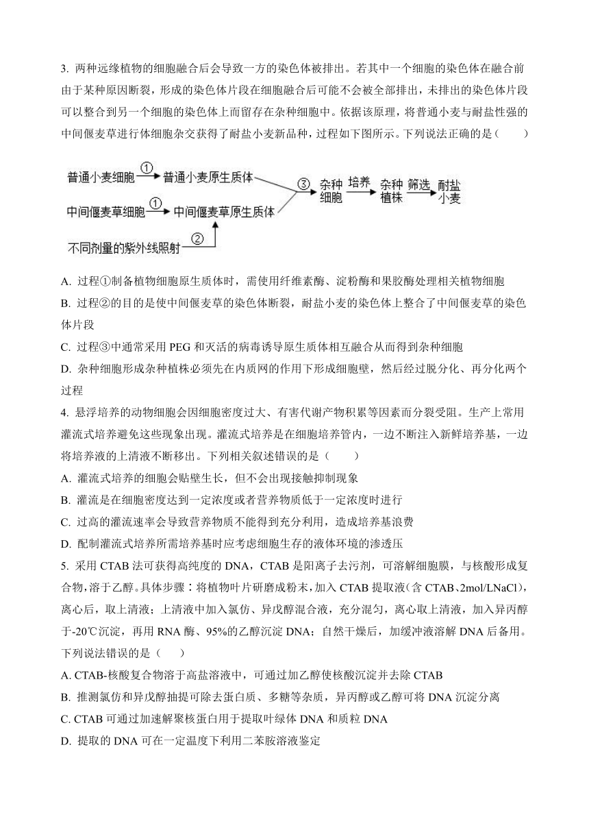 山东省潍坊市诸城繁华中学2023-2024学年高二下学期4月月考生物学试题（含解析）