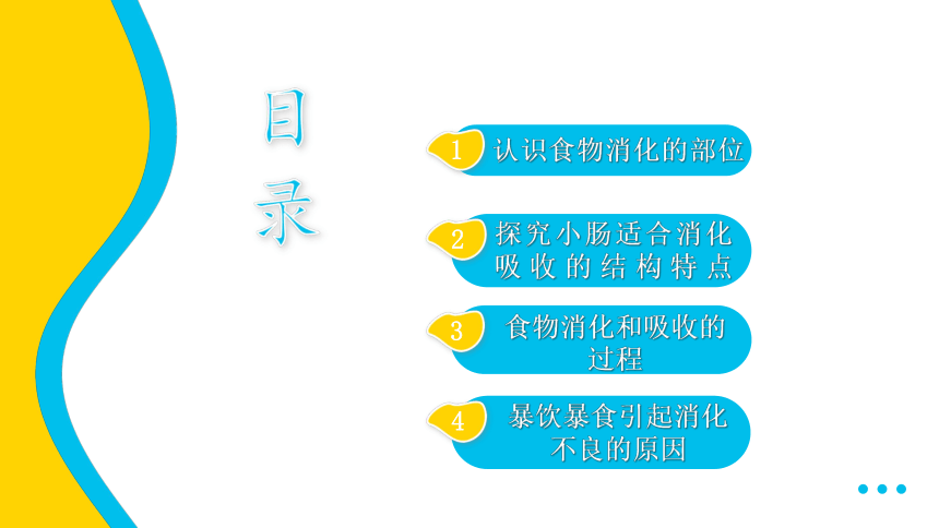 3.5.4.人体对于食物的消化和吸收课件2022--2023学年苏科版生物七年级上册（共25张PPT）