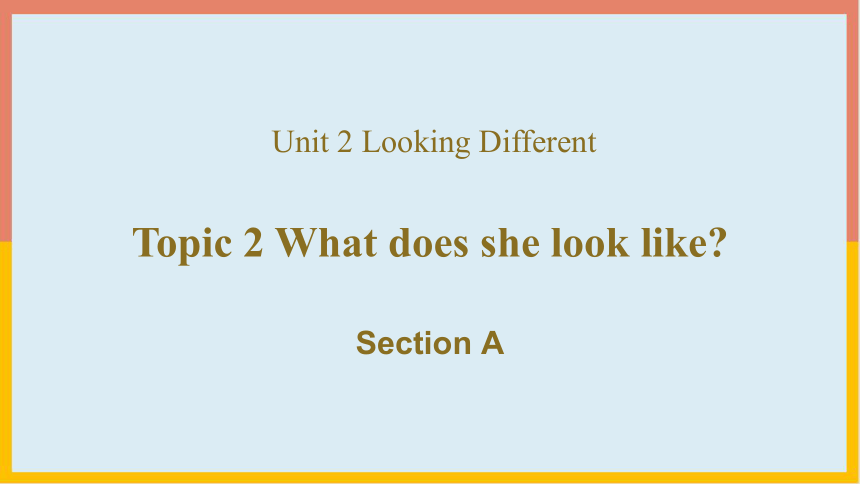 Unit 2 Topic 2 What does she look like? Sectiona A 课件+嵌入音频(共26张PPT)