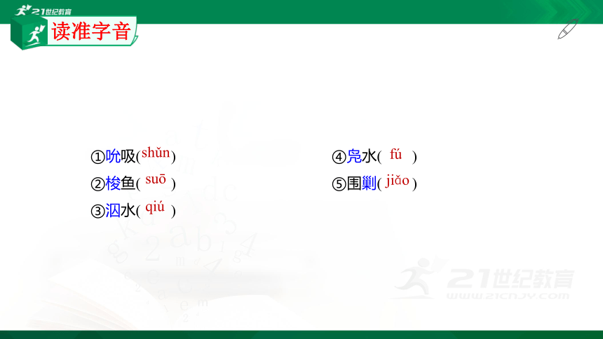 8.1 《荷花淀》课件（共26张PPT）