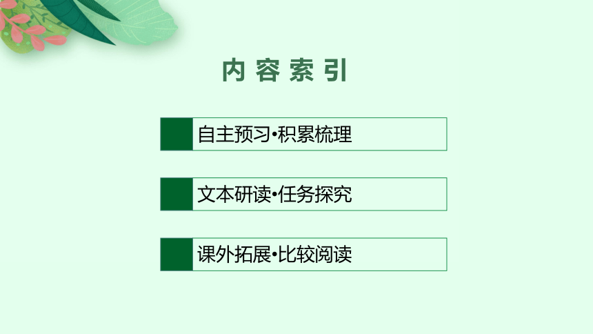 12　石钟山记课件(共57张PPT)部编版选择性必修下册