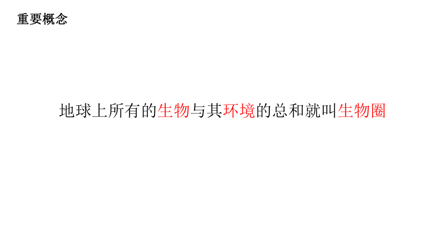 初中生物人教版七年级上册1.2.1生物与环境的关系（第一课时）课件(共22张PPT)