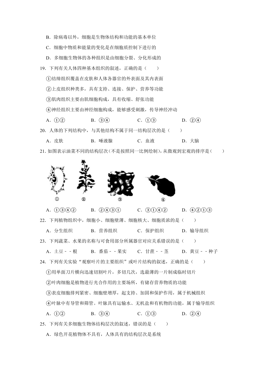 2020-2021学年山东省泰安市泰山区六年级（上）期末生物试卷     （含解析）