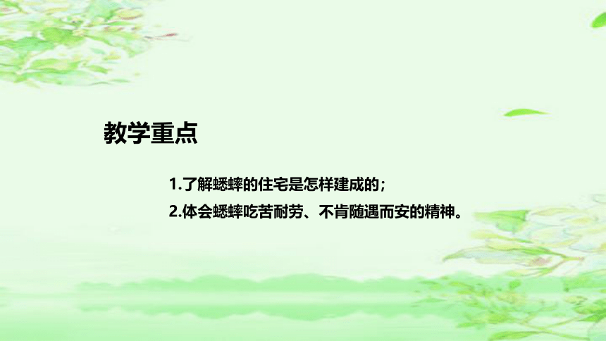 11 《蟋蟀的住宅》说课课件(2课时 共41张PPT)