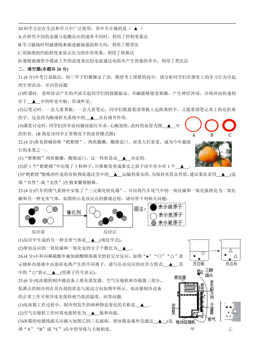 2023年浙江省杭州市西湖区保俶塔学校九年级科学模拟考试（word版，无答案）