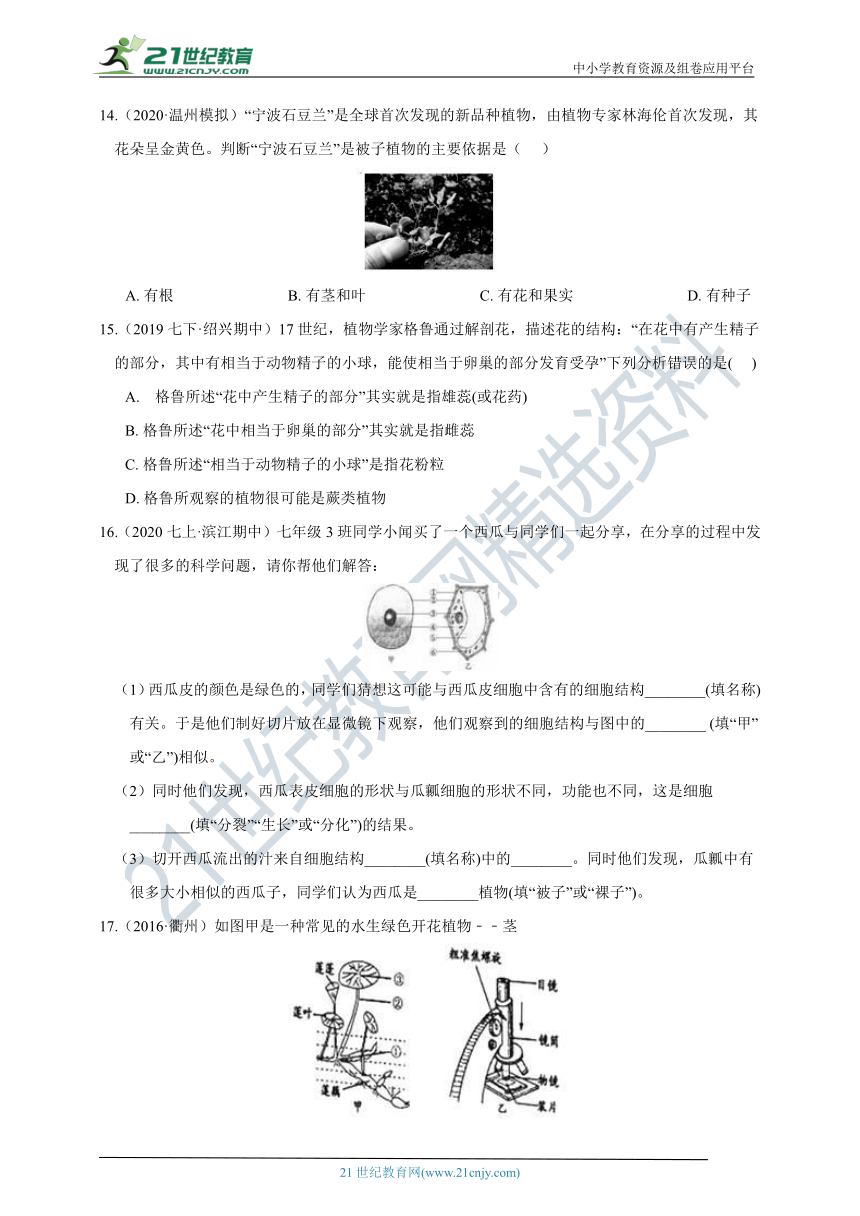 【重难点突破】浙教版7年级上册科学 第8讲 常见的植物（含答案）