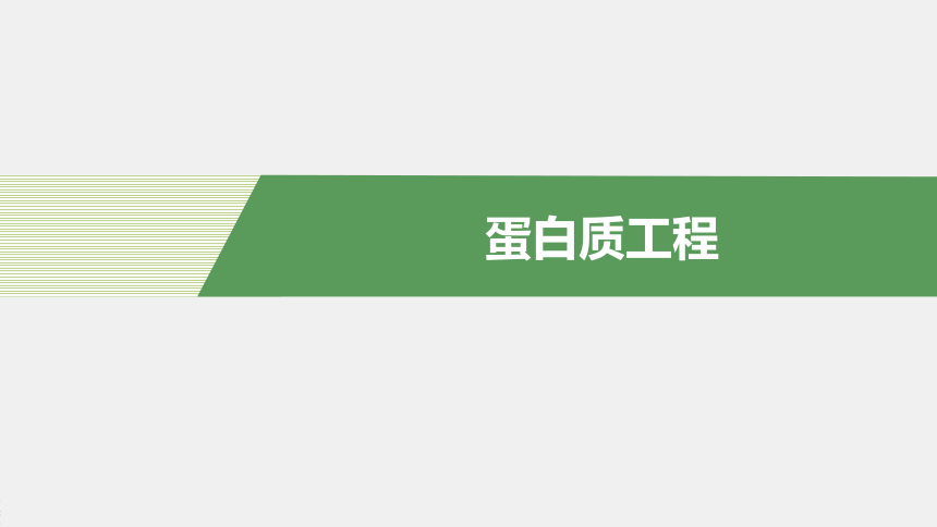 高中生物苏教版（2019）选择性必修3第三章 第三节　蛋白质工程（66张PPT）