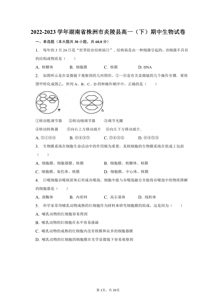 2022-2023学年湖南省株洲市炎陵县高一（下）期中生物试卷（有解析）