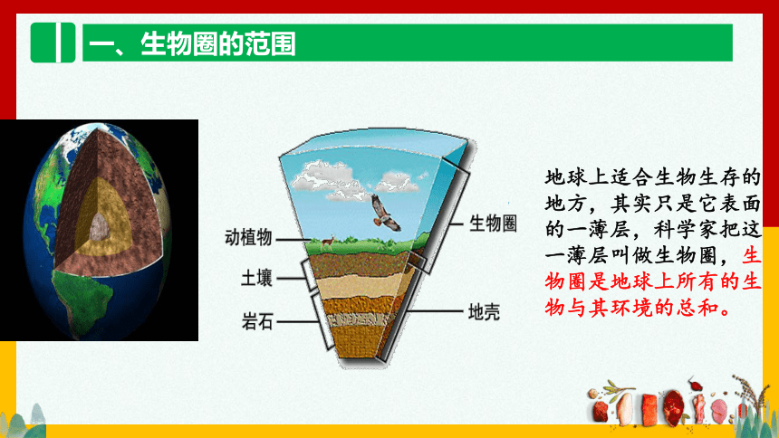 2.3 生物圈是最大的生态系统 课件(共30张PPT) 2021-2022学年人教版七年级生物上