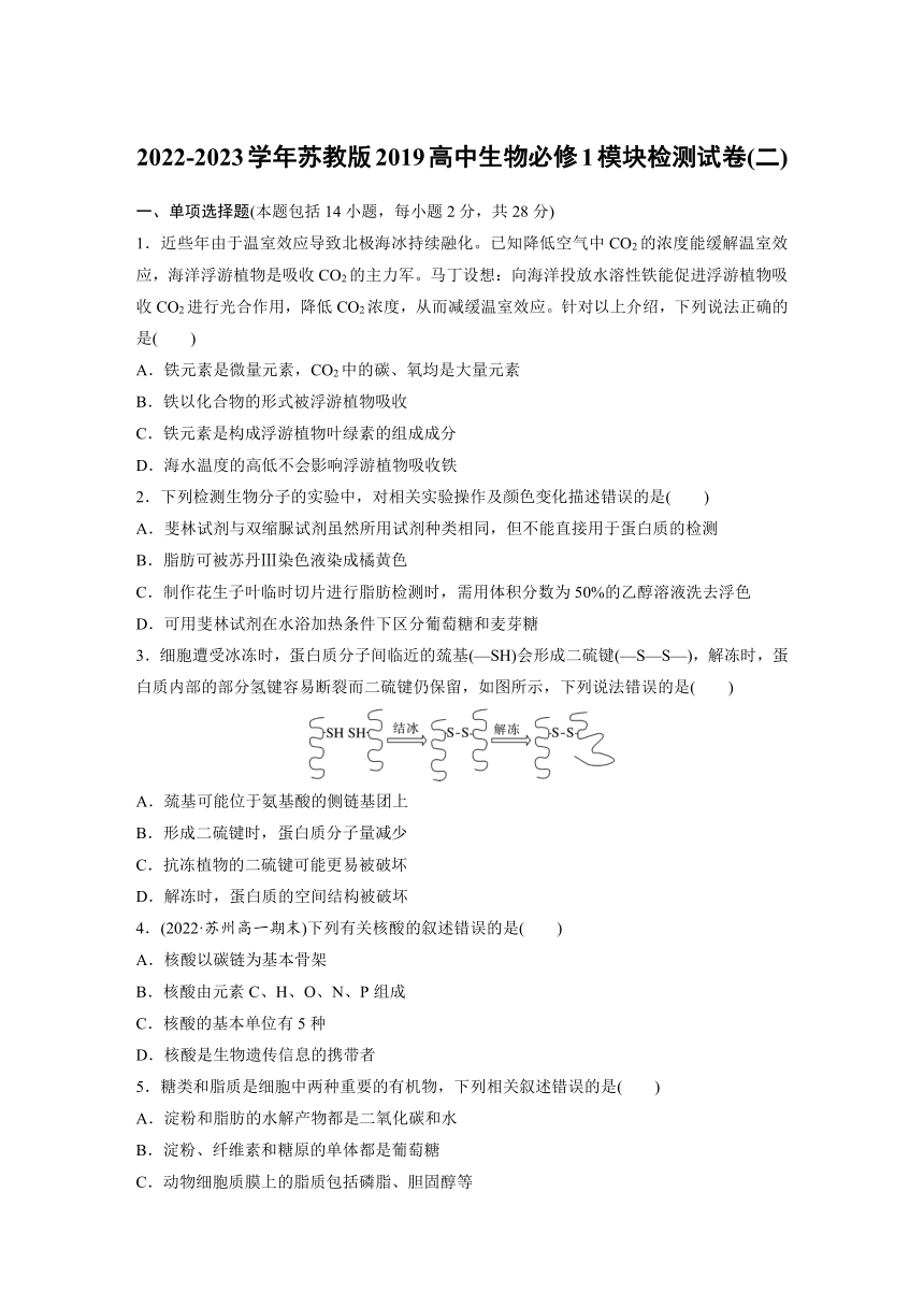 2022-2023学年苏教版2019高中生物必修1 模块检测试卷(二)（word含解析）