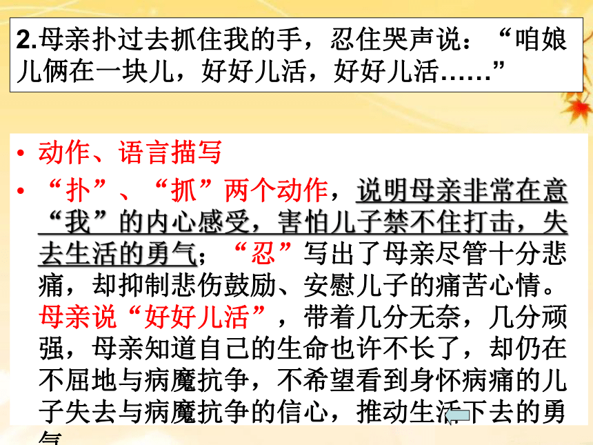 人教部编版语文七年级上册5《秋天的怀念》课件（幻灯片26张）