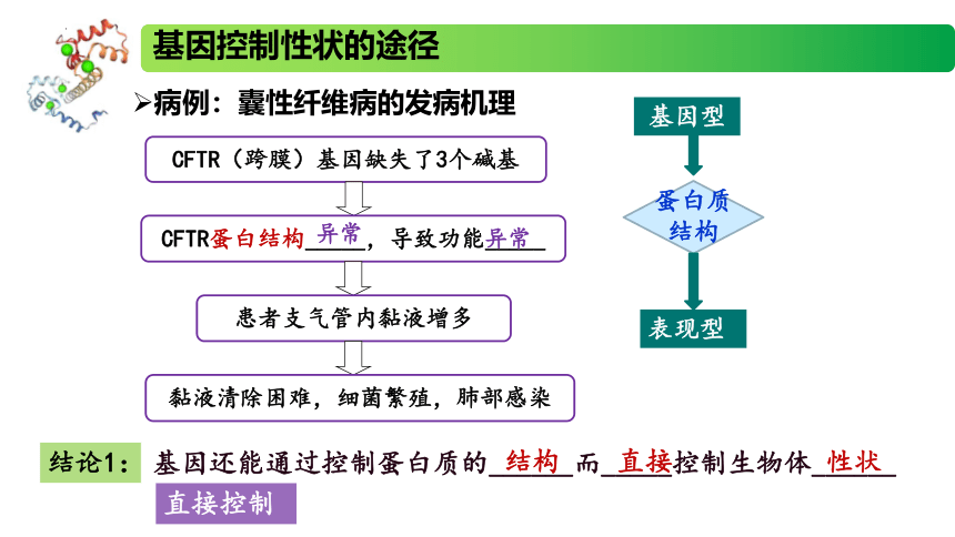 2.3.2 中心法则、细胞分化的本质、表观遗传课件(共22张PPT)高一生物（苏教版2019必修2）