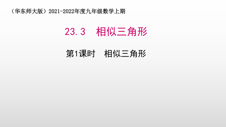 2021-2022学年华东师大版数学九年级上册23.3 相似三角形 第1 课时  课件(共19张PPT)