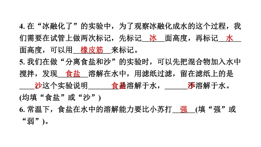 2022～2023第一学期金华市婺城区期末教学质量监测三年级上册科学课件(共32张PPT)