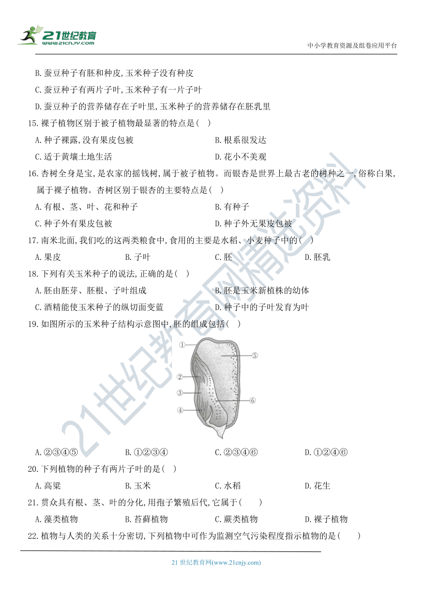 第三单元   第一章  生物圈中有哪些绿色植物 章节测评卷（含部分解析）