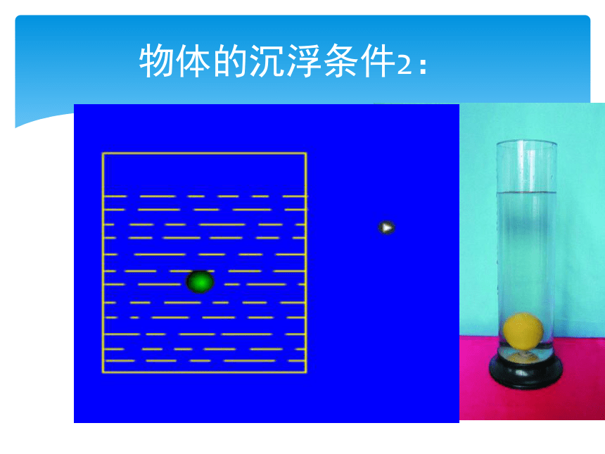 沪粤版八年级下册9.3《研究物体的浮沉条件》ppt课件（共66张PPT）