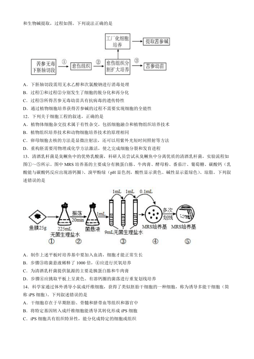 四川省眉山市仁寿县实验中学2023-2024学年高二下学期4月期中考试生物学试题（含答案）