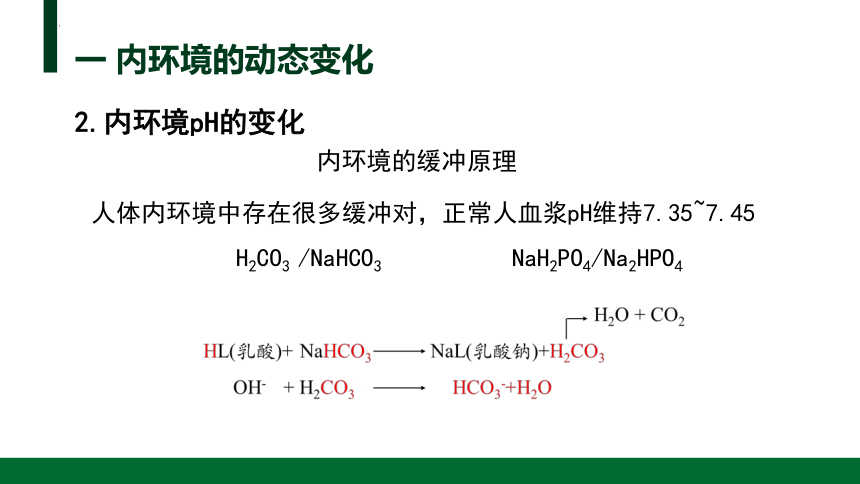 高中生物人教版(2019)选择性必修1 1.2内环境的稳态（共27张ppt）