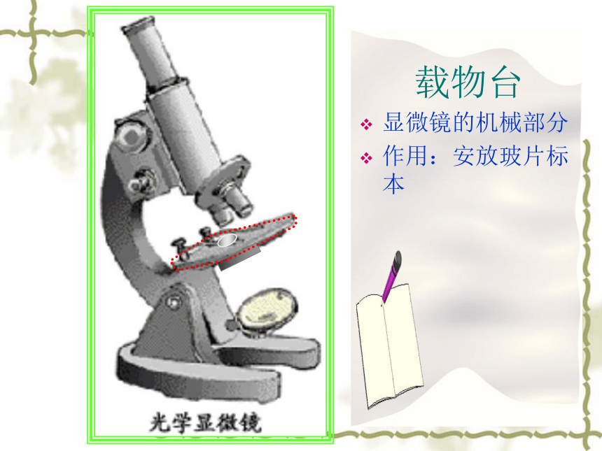 人教版七年级上册生物学2.1.1练习使用显微镜课件(共39张PPT)