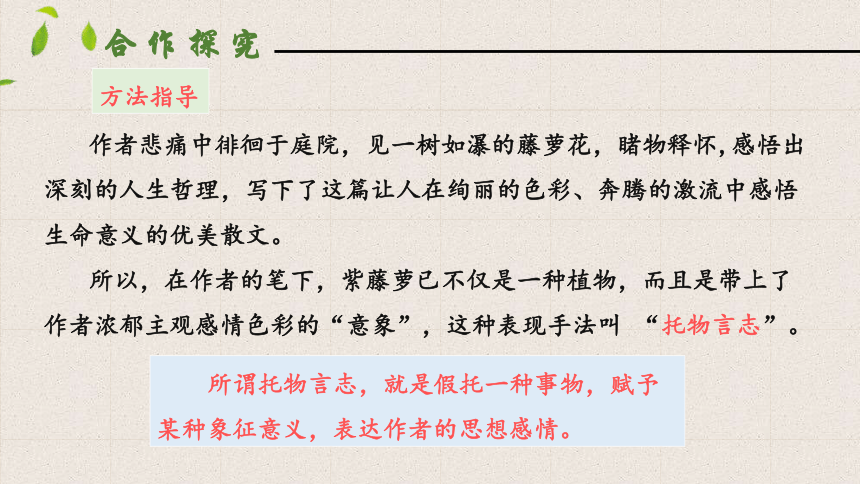 18  紫藤萝瀑布  第二课时  课件