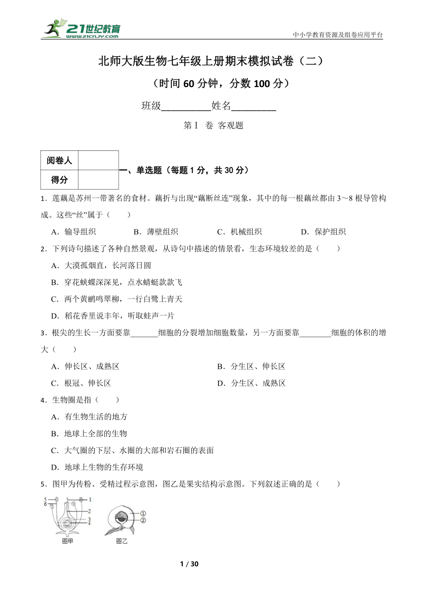 北师大版生物七年级上册期末模拟试卷（二）（含解析）