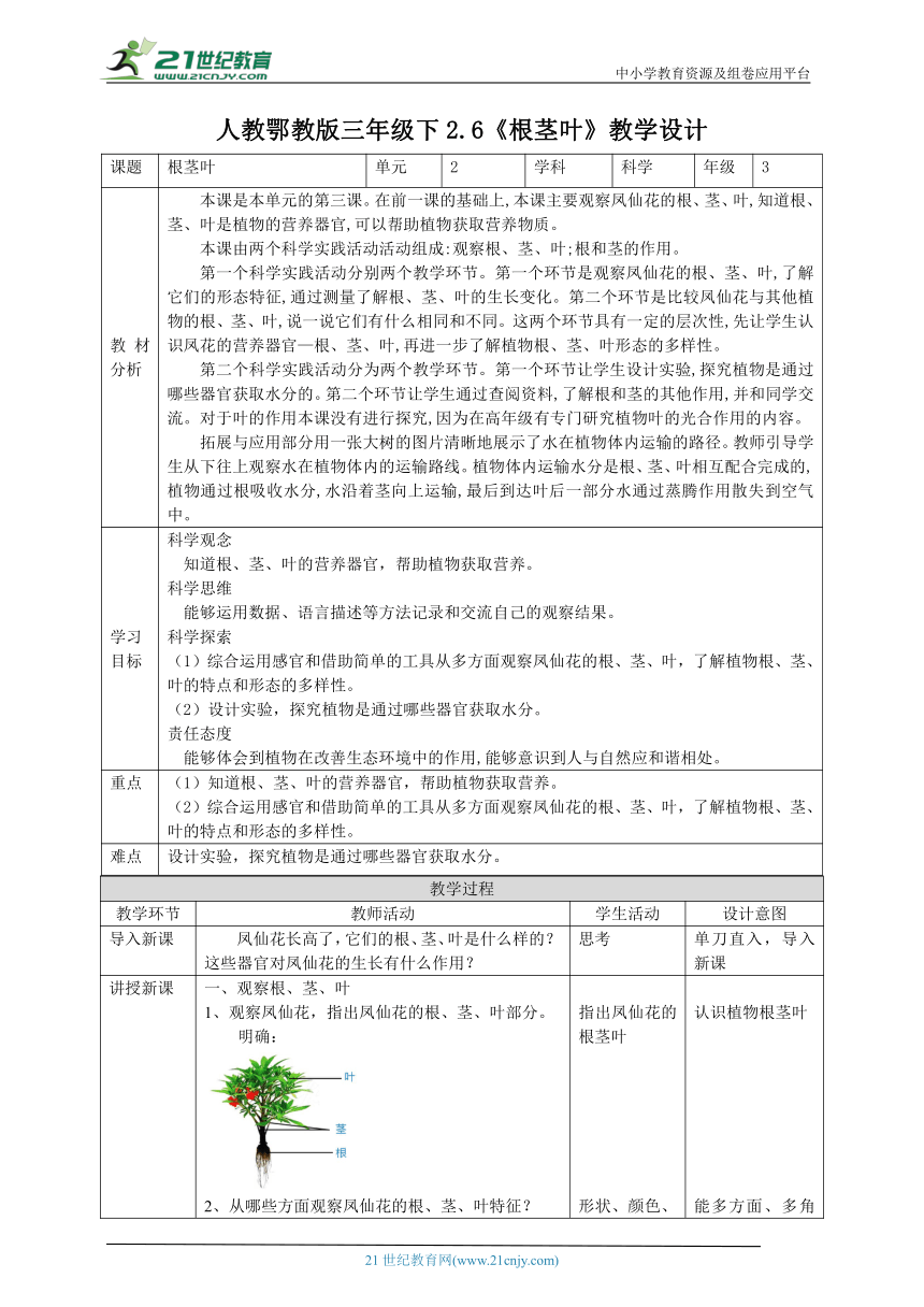 【核心素养目标】2.6《根茎叶》教案