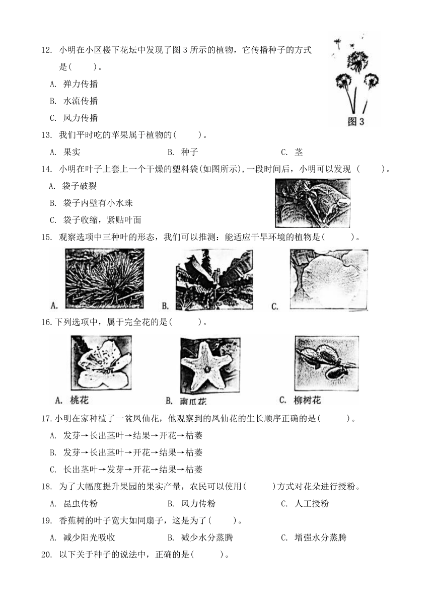 （教科版）四年级下册科学第一单元：植物的生长变化检测（含答案）