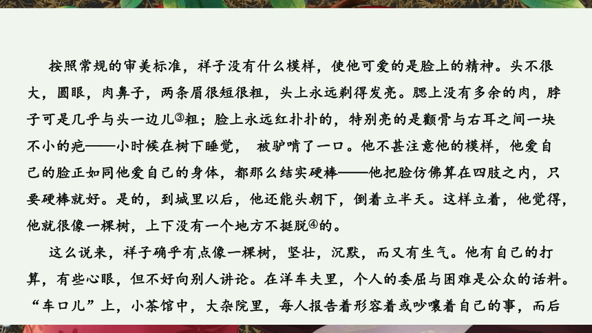 （安徽省）语文中考专题一  名著阅读 课件（91张PPT）