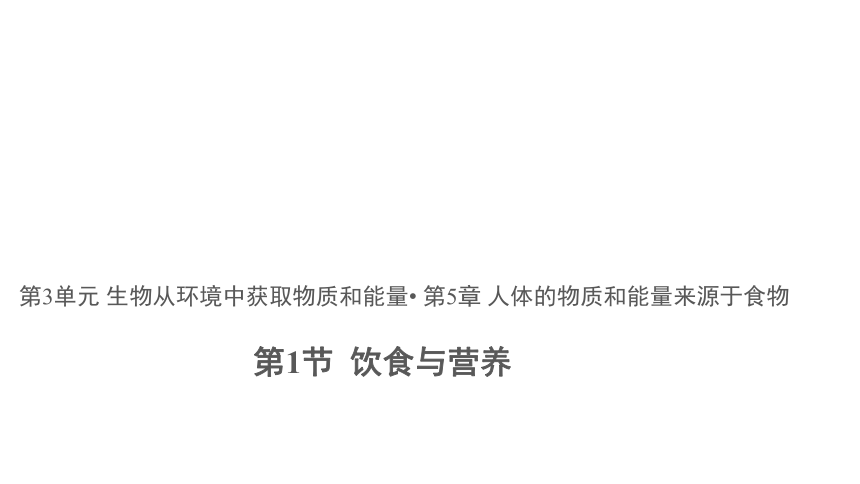 苏科版七年级上册3.5.1 饮食与营养 课件(共18张PPT)