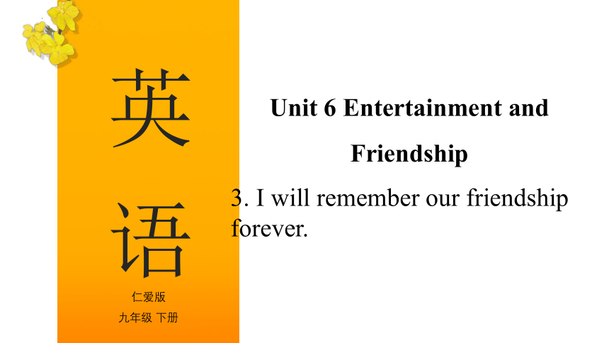 Unit 6 Entertainment and Friendship. Topic 3九年级英语下册（仁爱版）(共36张PPT)