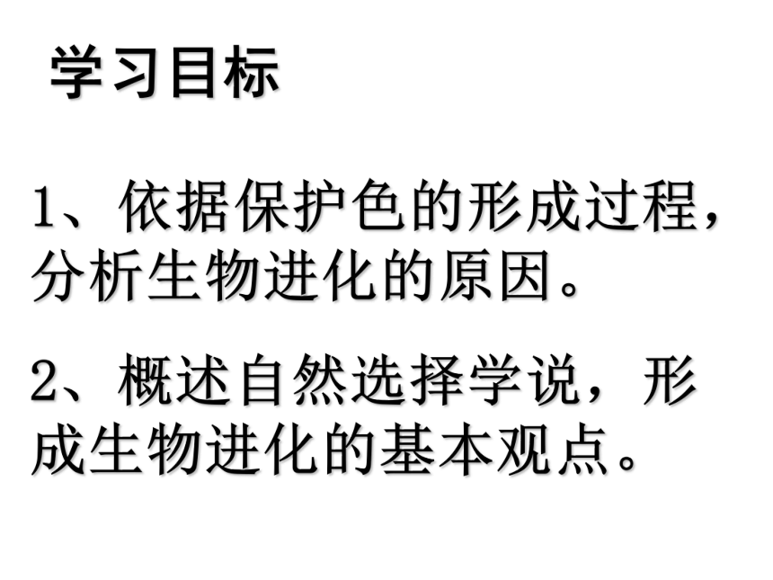 2020-2021学年人教版生物八年级下册7.3.3生物进化的原因课件（49张PPT）