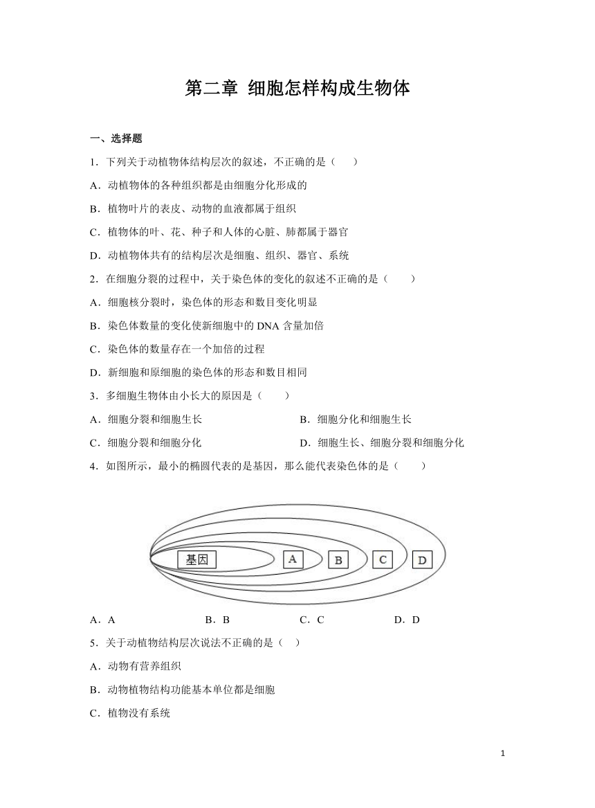 人教版七年级上册 第二章 细胞怎样构成生物体 章练习 (word版含解析）