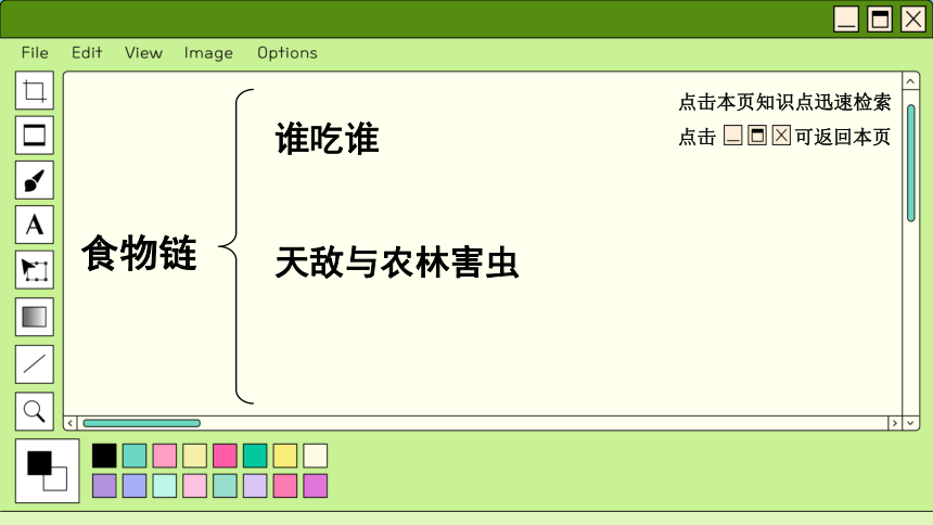 3.6.1 食物链课件(共41张PPT)2023-2024学年初中生物苏科版七年级上册