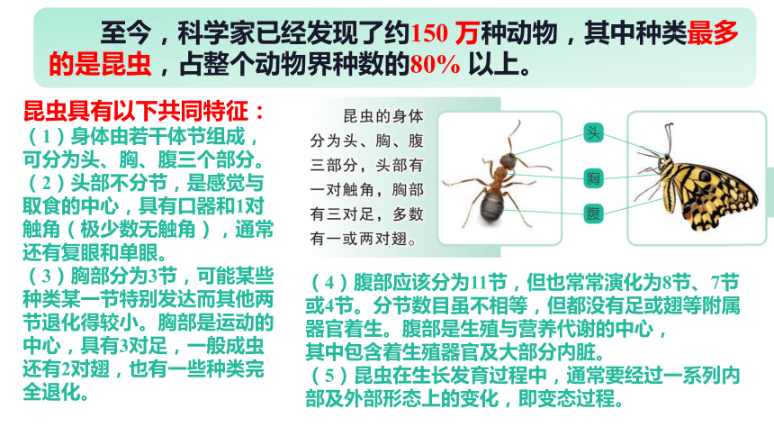 苏教版（2017秋）科学 四年级下册 3.9庞大的家族（课件 共16张PPT+视频）