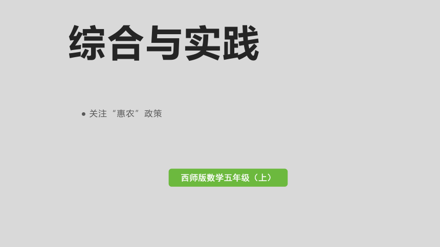 西师大版数学五年级上册 3.14小数除法 综合与实践  关注“惠农”政策 课件（19张PPT）