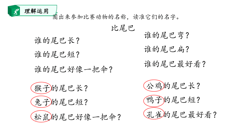 6.比尾巴 课件(共28张PPT)