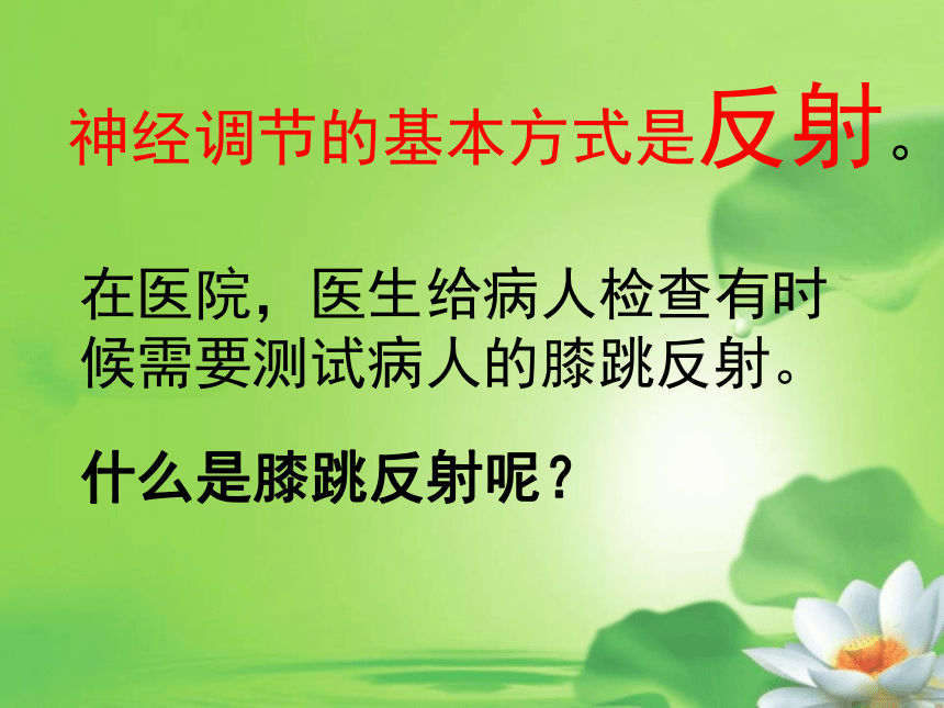 冀教版七年级下册生物 4.3信息的处理 课件（共19张PPT）