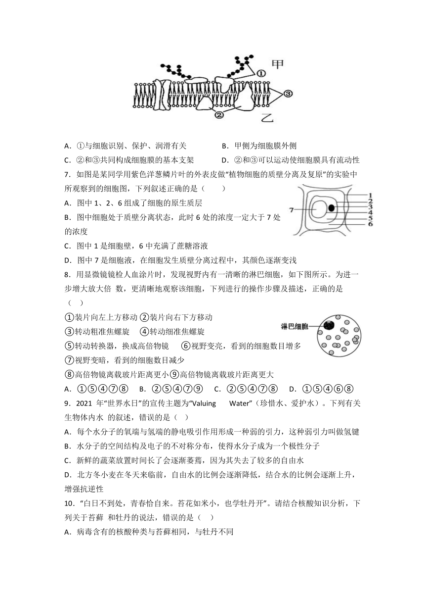 湖南省宁乡市四校2021-2022学年高一上学期12月联考生物试题（Word版含答案）