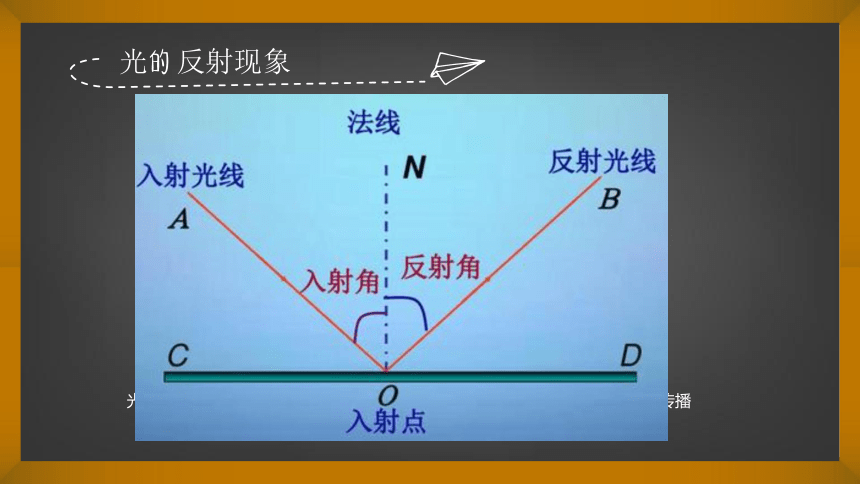 3.2 探究光的反射规律 课件（14张PPT）