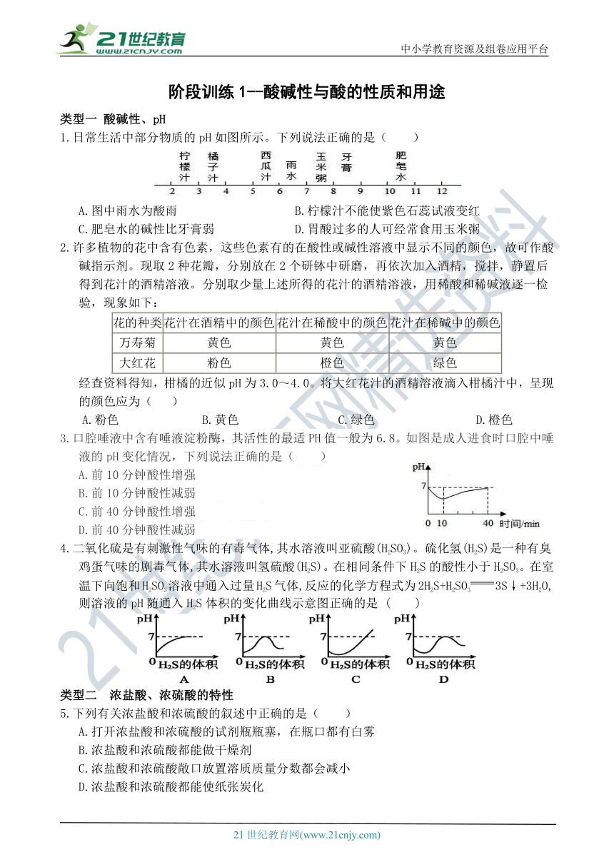 阶段训练1--酸碱性与酸的性质和用途 综合练习（含答案）