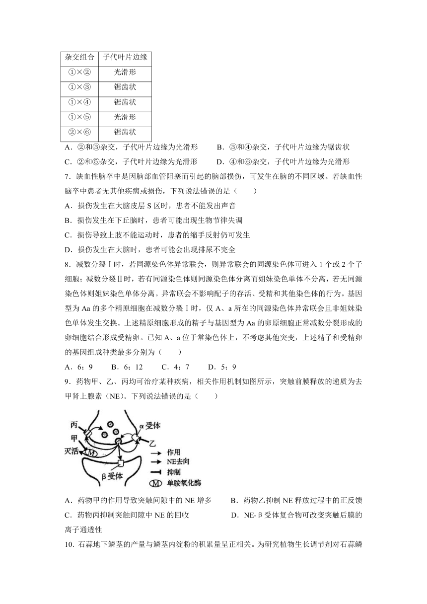 2022年新高考山东卷高考生物真题试卷（Word版，含答案）